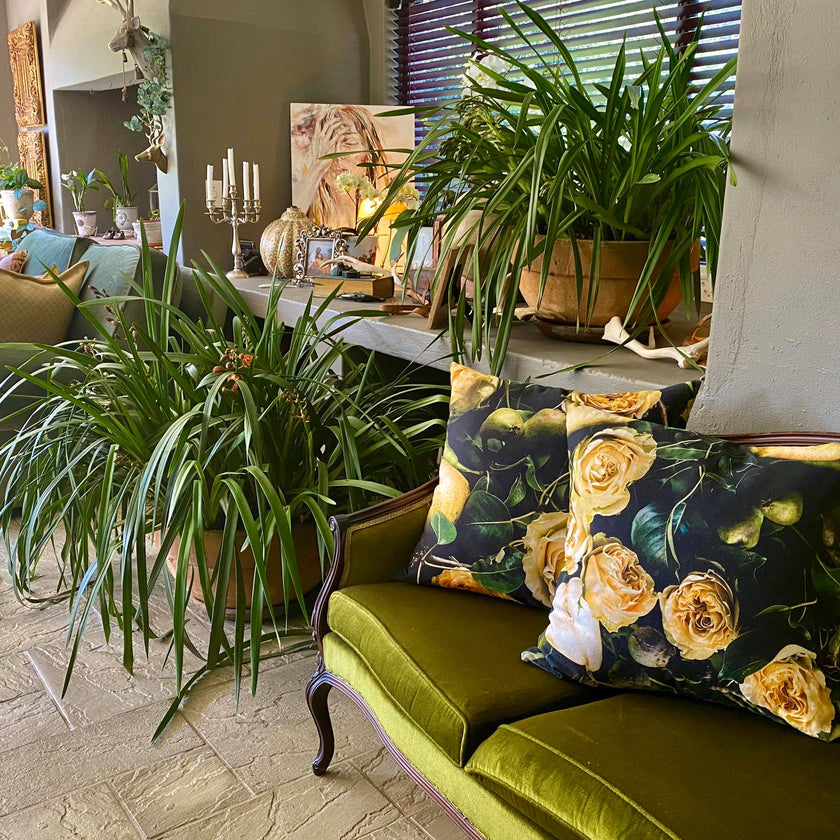 Square Scatter pillow with floral print and fruits, BOLTE Home Textiles Collection